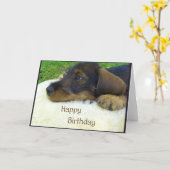 ハッピーバースデー、かわいいダックスフントの子犬 カード (黄色い花)