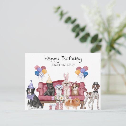 ハッピーバースデー かわいい子犬たち ポストカード (スタンド正面)