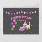 ハッピーバースデー かわいい犬 ケーキ 水玉模様 ポストカード (正面)