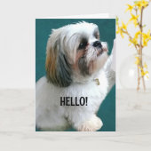 *ハッピーバースデー*が待ち遠しい カード (黄色い花)