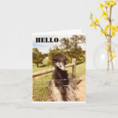 「ハッピーバースデー」はダチョウに言う カード (黄色い花)