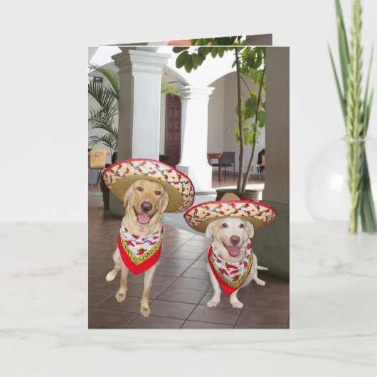 ハッピーバースデー! または¡のFelizのcumpleaños! カード (正面)