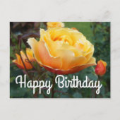 ハッピーバースデー アバウトフェイス ローズ #2 ポストカード (正面)