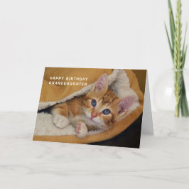 ハッピーバースデー、オレンジ虎猫キッテンインベッド カード