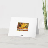 「ハッピーバースデー」オレンジ《植物》百日草誕生日カード カード (裏面)