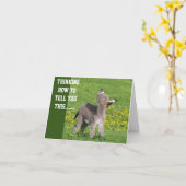 *ハッピーバースデー*カードをお知らせするのを待てなかった カード (黄色い花)