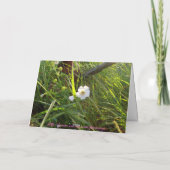 ハッピーバースデー! -カードパーソナライズな挨拶 カード (裏面)