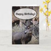 ハッピーバースデー! カード (黄色い花)