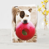 ハッピーバースデー カード (黄色い花)