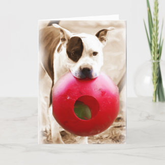 ハッピーバースデー カード