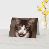 ハッピーバースデー! カード (黄色い花)