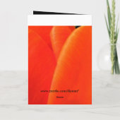 ハッピーバースデー カード (裏面)