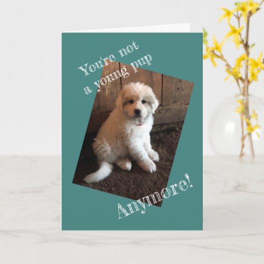 ハッピーバースデー カード (黄色い花)