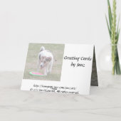 ハッピーバースデー カード (裏面)