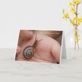 ハッピーバースデー カード (黄色い花)