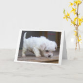 ハッピーバースデー カード (黄色い花)