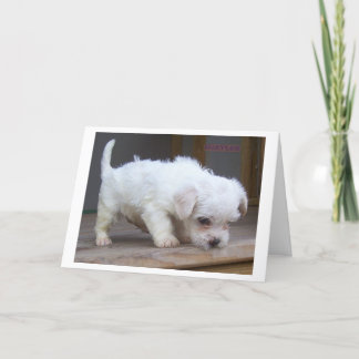 ハッピーバースデー カード