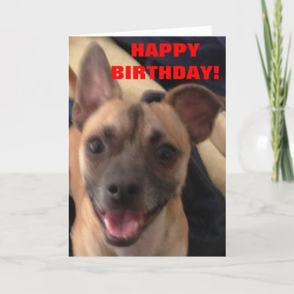 ハッピーバースデー! カード