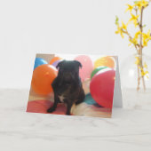 ハッピーバースデー カード (黄色い花)