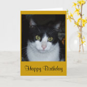 ハッピーバースデー カード (黄色い花)