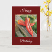 ハッピーバースデー カード (黄色い花)