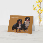 ハッピーバースデー カード (黄色い花)