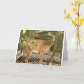 「ハッピーバースデー」 カード (黄色い花)