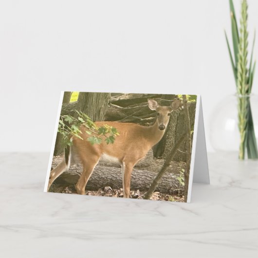 「ハッピーバースデー」 カード (正面)