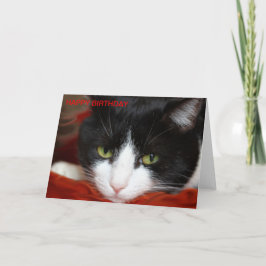 ハッピーバースデー カード