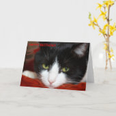 ハッピーバースデー カード (黄色い花)