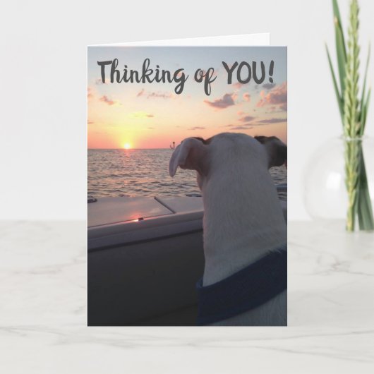 ハッピーバースデー カード (正面)