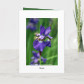 ハッピーバースデー カード (裏面)