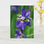 ハッピーバースデー カード (黄色い花)