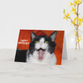 ハッピーバースデー カード (黄色い花)