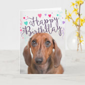 ハッピーバースデー カード (黄色い花)