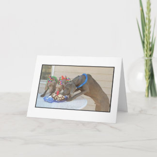 ハッピーバースデー カード