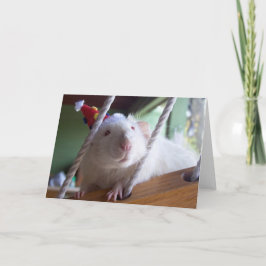 ハッピーバースデー カード