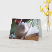 ハッピーバースデー カード (黄色い花)