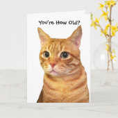 ハッピーバースデー カード (黄色い花)