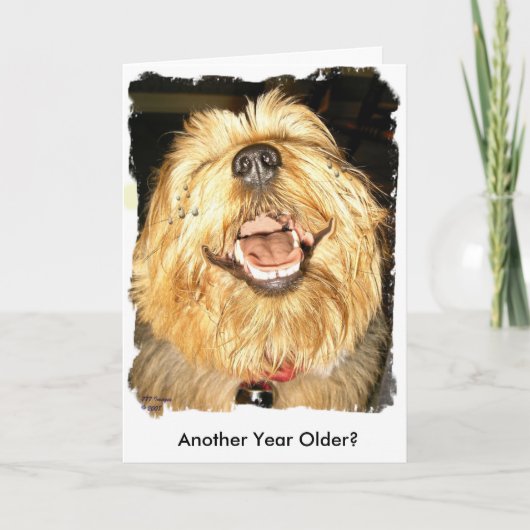 ハッピーバースデー カード (正面)