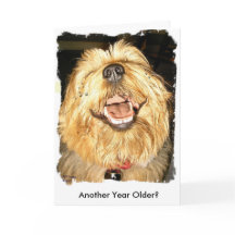 ハッピーバースデー