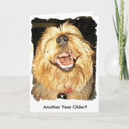 ハッピーバースデー カード