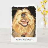 ハッピーバースデー カード (黄色い花)