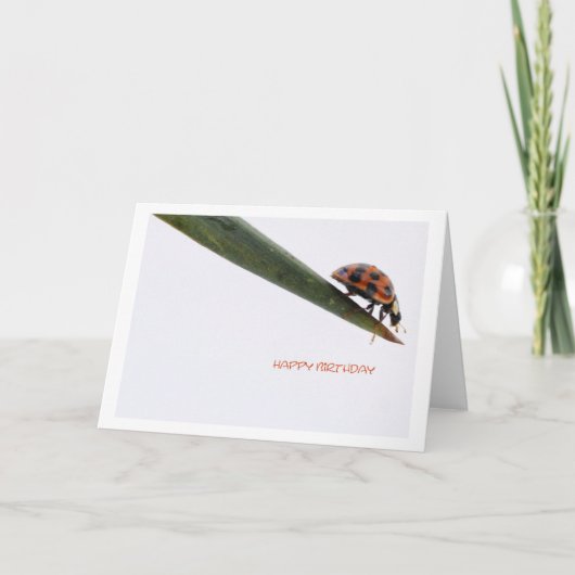 ハッピーバースデー カード レディバード (正面)
