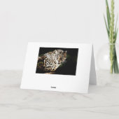 ハッピーバースデー クールレパード ブランクカード カード (裏面)