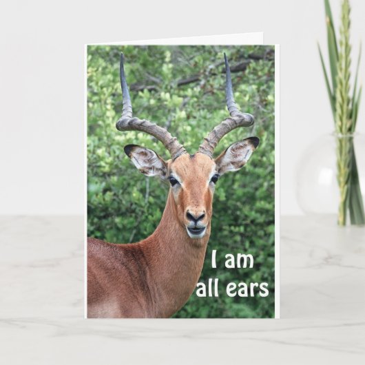 ハッピーバースデー「コメディカ・ディアー」 カード (正面)