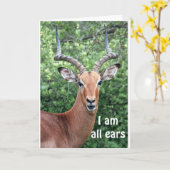 ハッピーバースデー「コメディカ・ディアー」 カード (黄色い花)