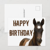 ハッピーバースデー コルトホース ポストカード (正面/裏面)