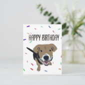 ハッピーバースデー! シーズンカード (スタンド正面)