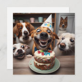 ハッピーバースデー! シーズンカード (正面/裏面)